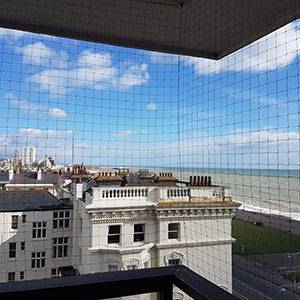 bird proofing Brighton