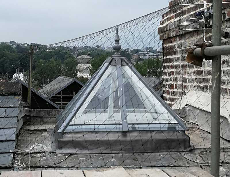bird proofing Brighton