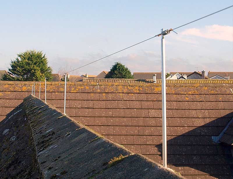 bird proofing Brighton